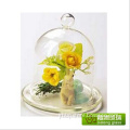 Outdoor Glass Bell Jar Cloche Food Cover With Glass Base